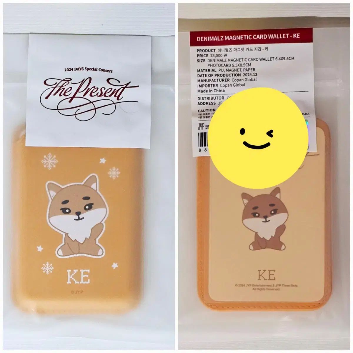 DAY6 ヨンケイ うちわ うちわカバー DAY6 ヨンケイ⑲ DAY6 (데이식스