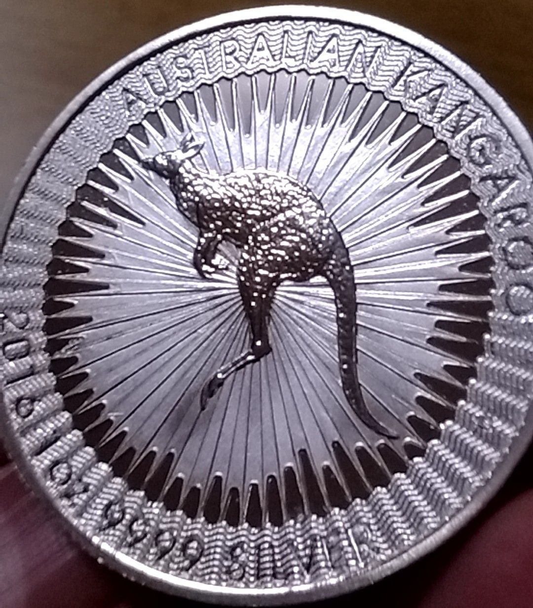 オーストラリア　カンガルー 2016年 記念 銀貨 G495 オーストラリア カンガルー シルバー コイン 2016年 参考品