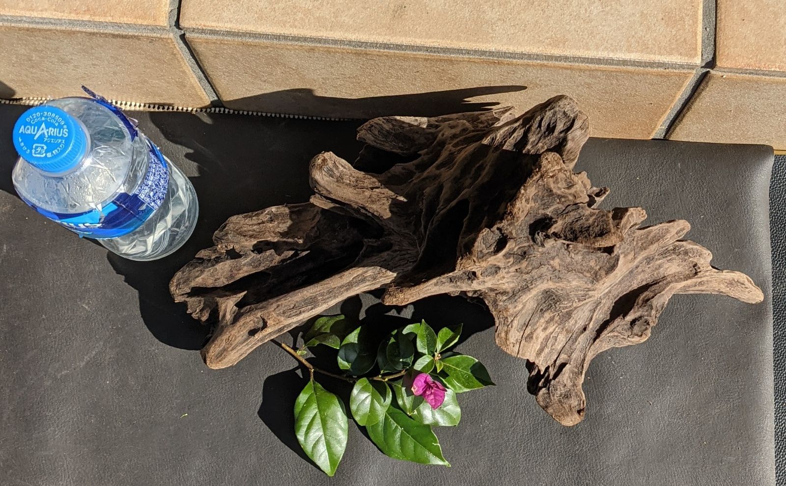 CN8天然流木【中型】爬虫類等レイアウト用品、アク抜き済（沈水しま