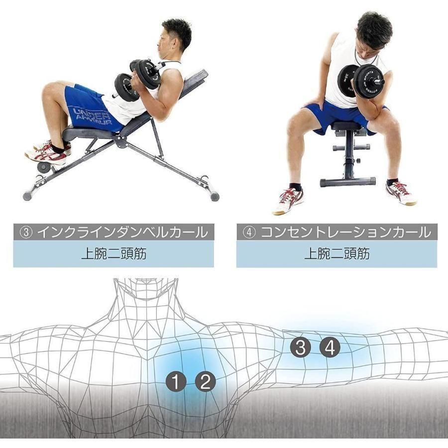 ダンベル 20kg 2個セット 合計40kg 鋼 アレイ 錆びない 筋トレ501