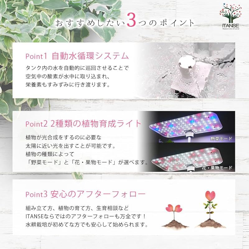 肥料|種子付き