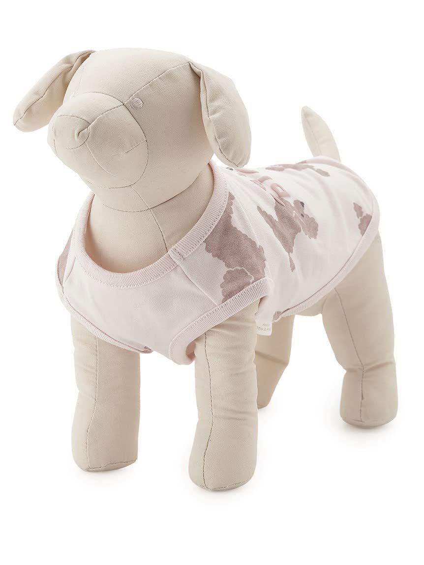 飛澤行雄、【富士】、希少な額装用画集より、新品額装付