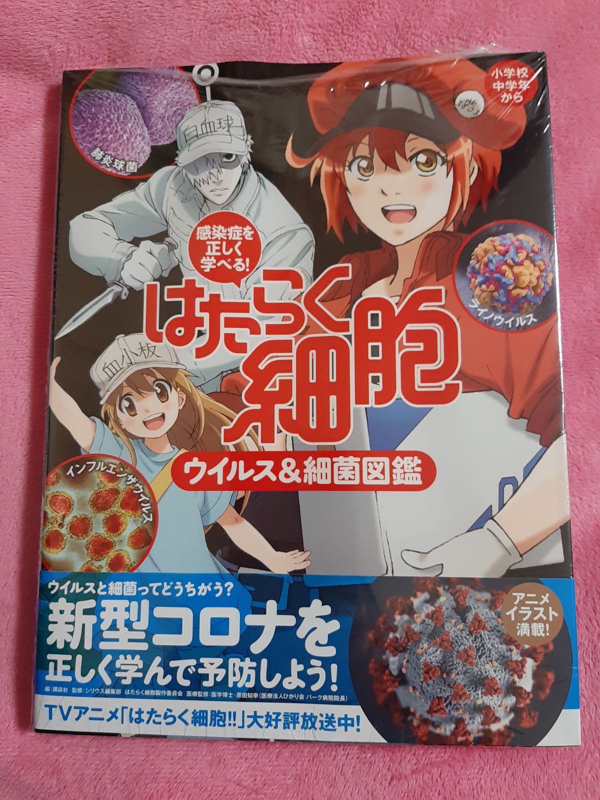 はたらく細胞 絵本 図鑑 2冊セット 人体のふしぎ図鑑 ウイルス細菌図鑑