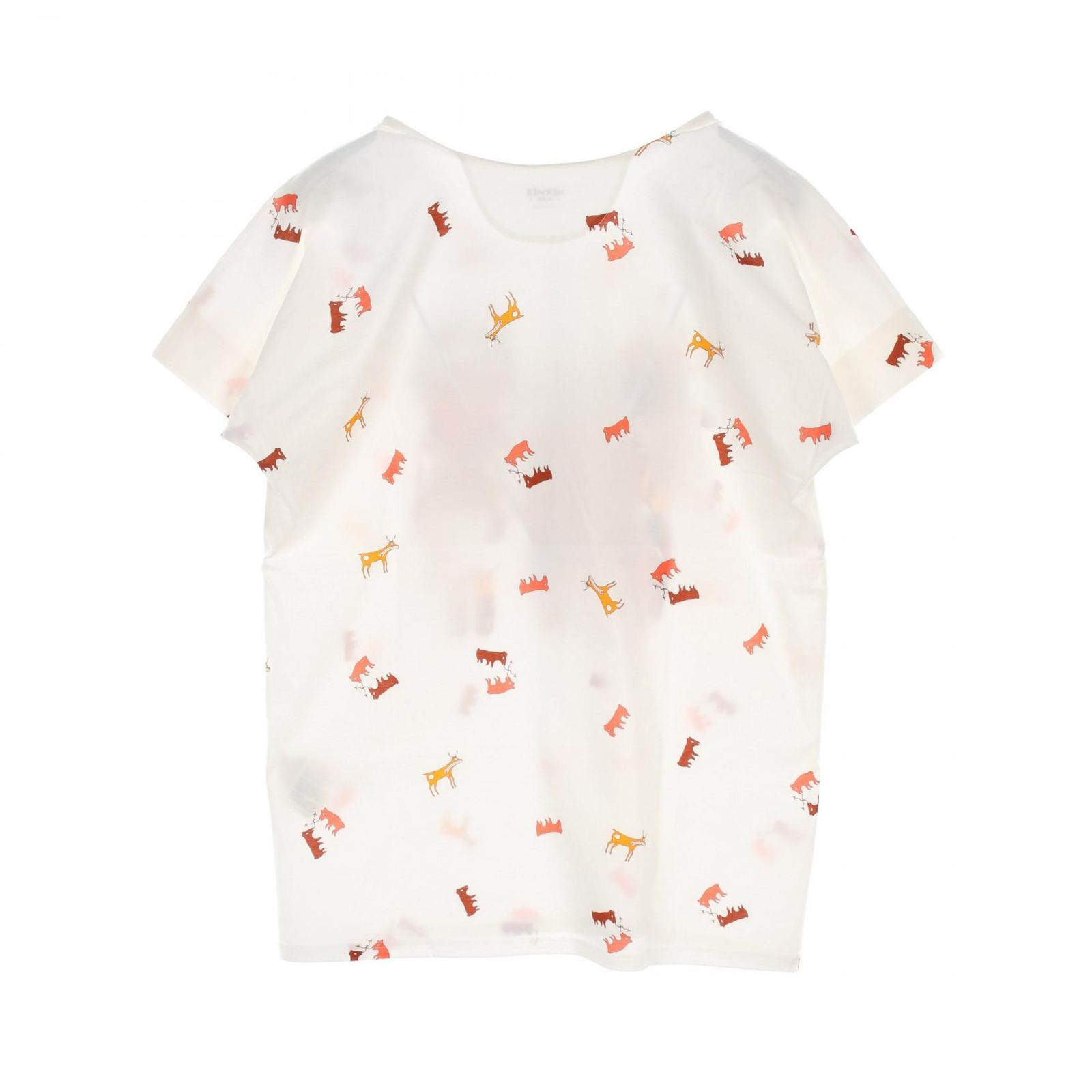 Tシャツ