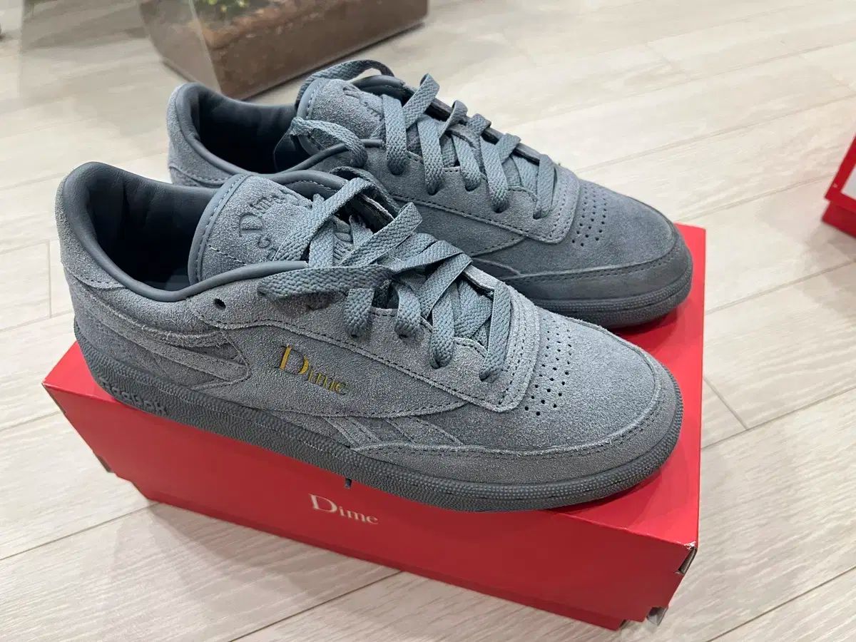 【雷市場（ポンジャン）商品韓国直送】 Reebok(リーボック) ダイム クラブシー ヴィンテージ 240