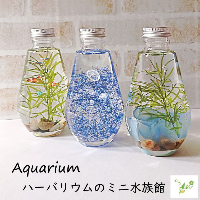 Aquarium～ハーバリウムの小さな水族館 熱帯魚 クリオネ 癒し