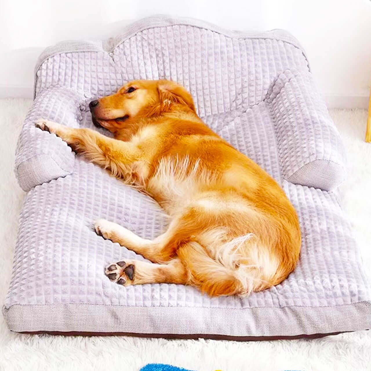 ベッド 大型犬