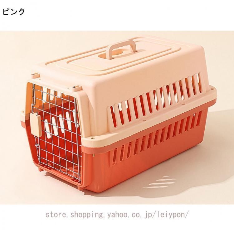 子猫
