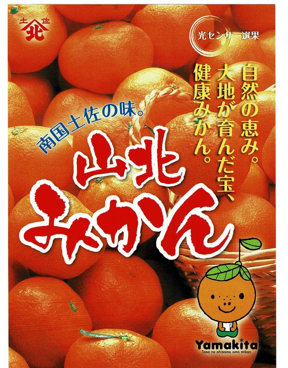 おまけ付 最新 - 高知県産山北ミカン、即購入OK 食品