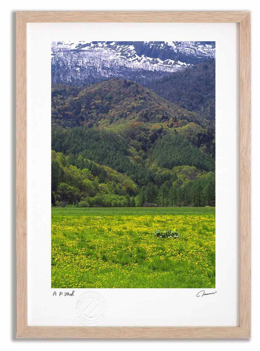 アフリカ エチオピア グラゲ 木枕 エチオピア 枕(Gurage)｜KANKAN