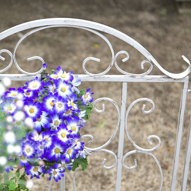 幅64cm×高さ98cm GAF-LOW980-5P