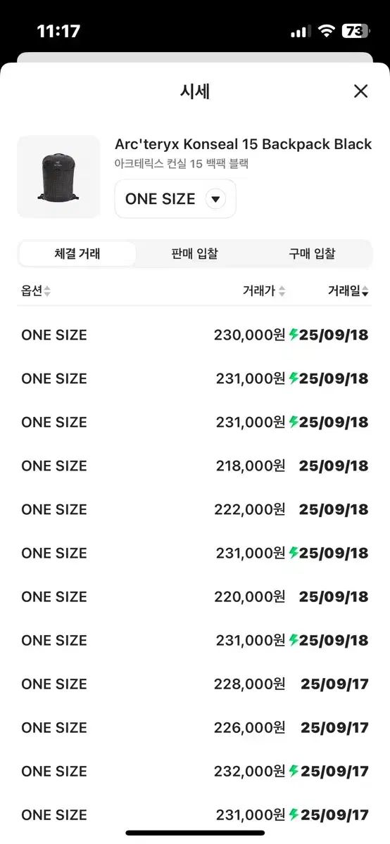 ARC TERYX アークテリクス 隠す 15 バックパック ブラック