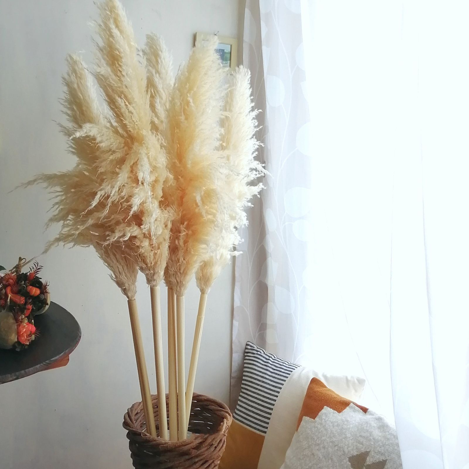 特大パンパスグラス 5本＋花瓶