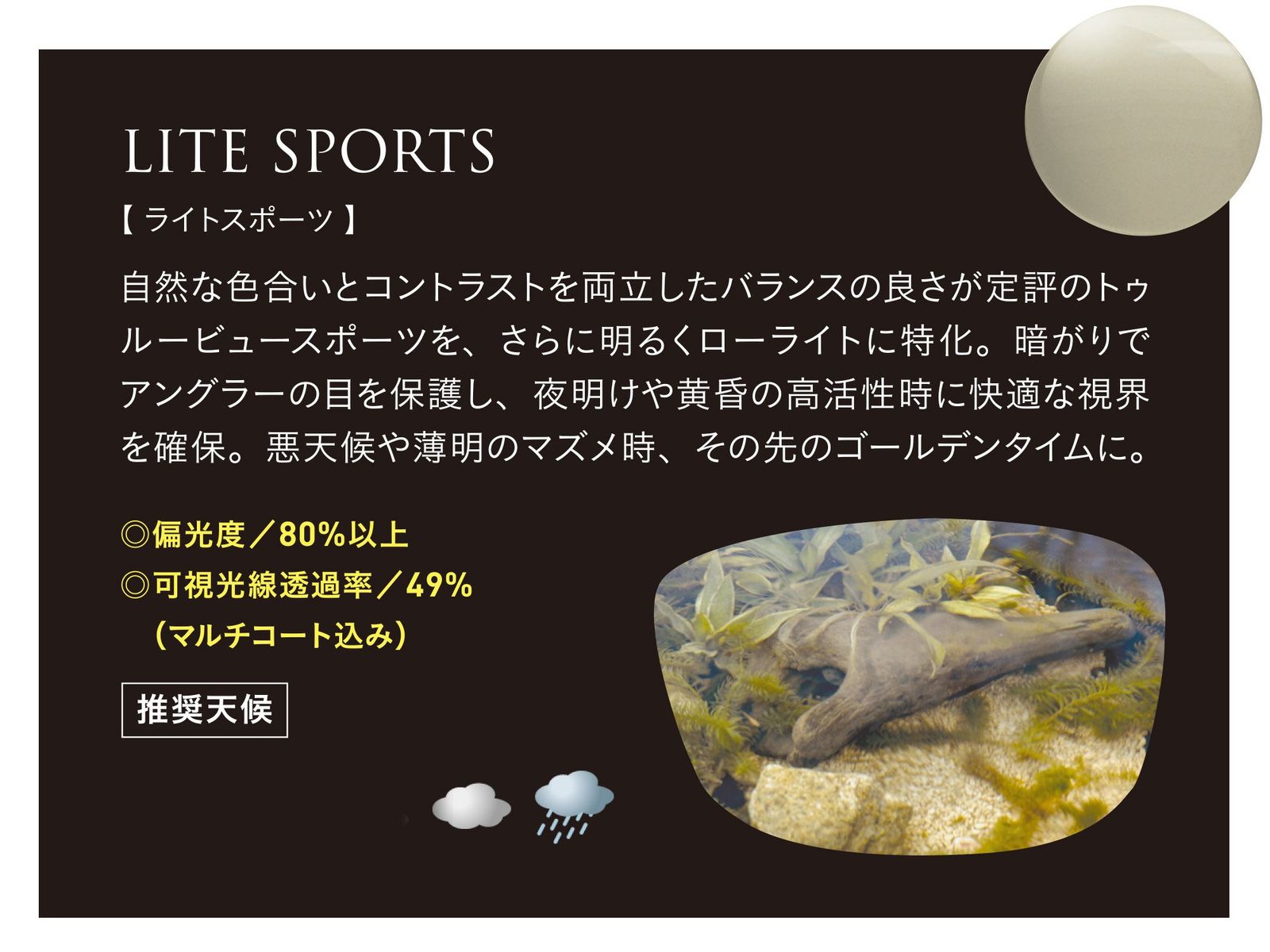 Zeque(ゼクー) 偏光サングラス DECK(デック) F-1863 ブラック LITE 
