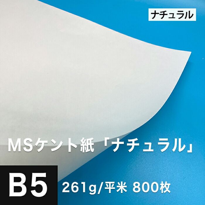 コールマン282カスタマイズ オリーブドラブ1991年10月製造