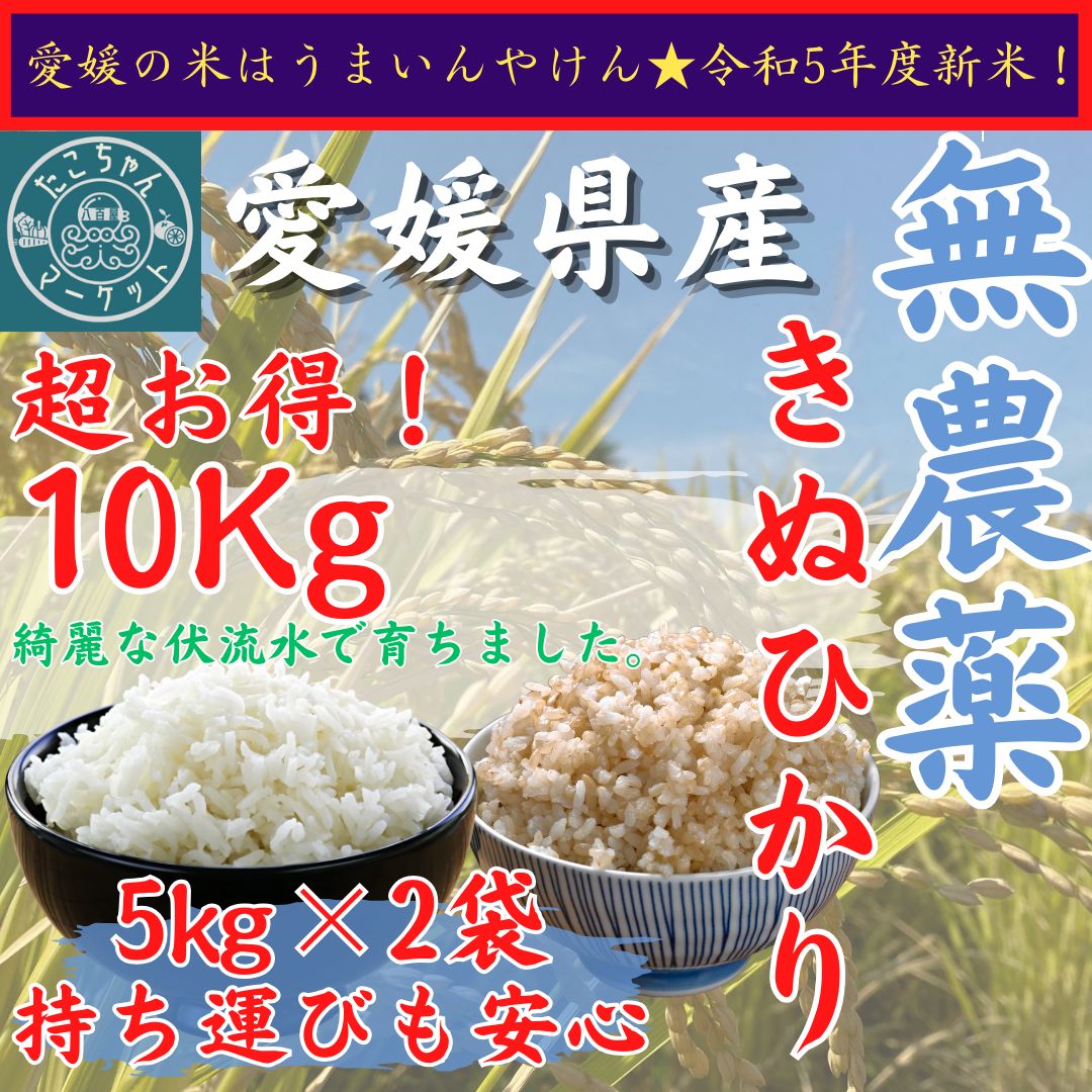 全国総量無料で 令和5年新米♥愛媛県産コシヒカリ５kg(白米) 米 食品