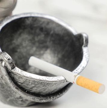 犬 収納ボックス