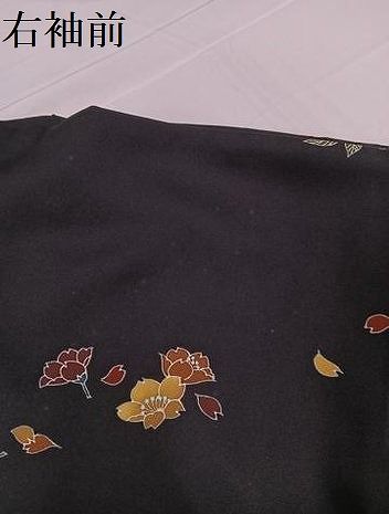 平和屋着物○訪問着 駒刺繍 枝花文 黒地 正絹 逸品 未使用 AABB5130ph