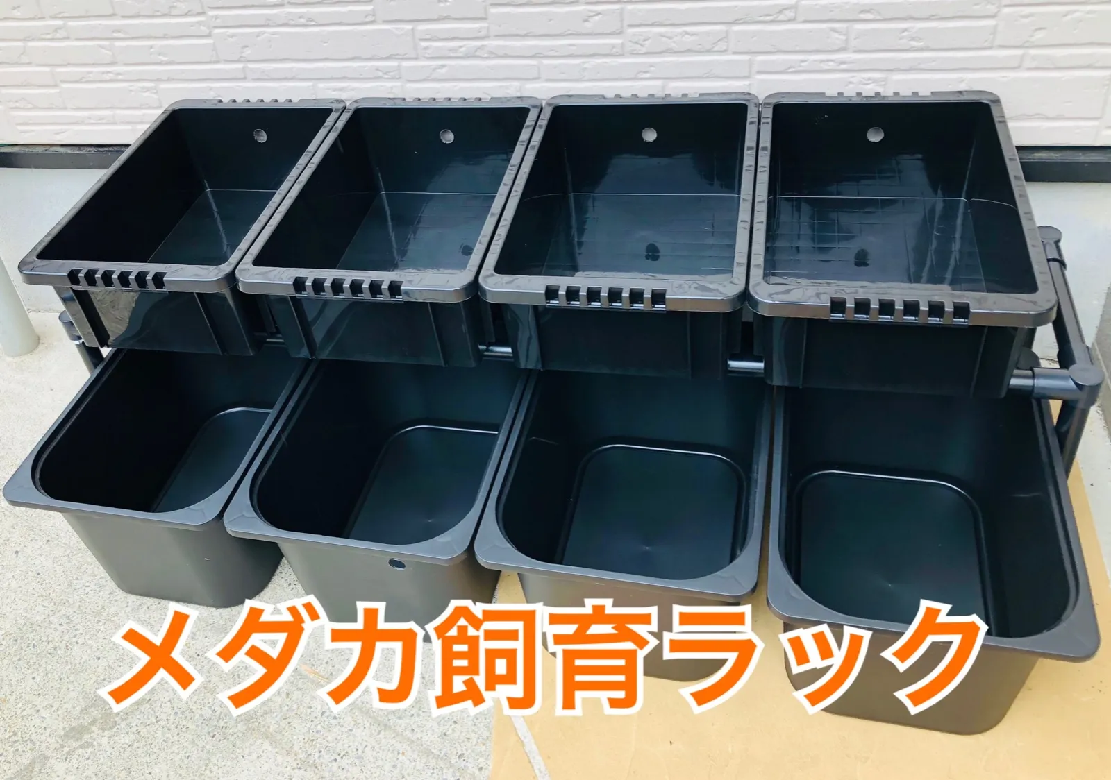 めだか飼育ケース20L IKEAトロファスト　黒色 めだか飼育ケース20L IKEAトロファスト 黒色 めだか飼育ケース20L IKEA