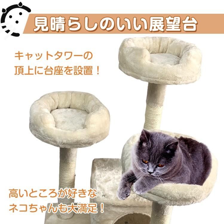 猫用品