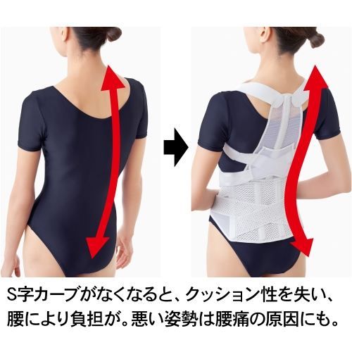 腰から正す姿勢ベルト L-LL