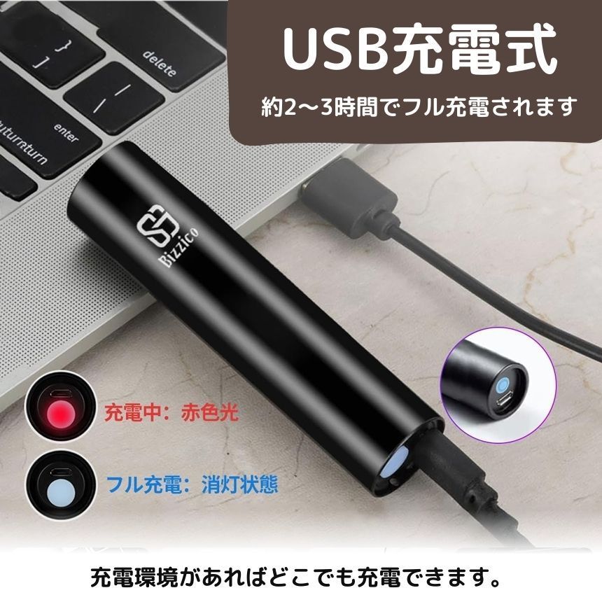 懐中電灯 ブラックライト ハンディライト led ライト UV 紫外線 充電式