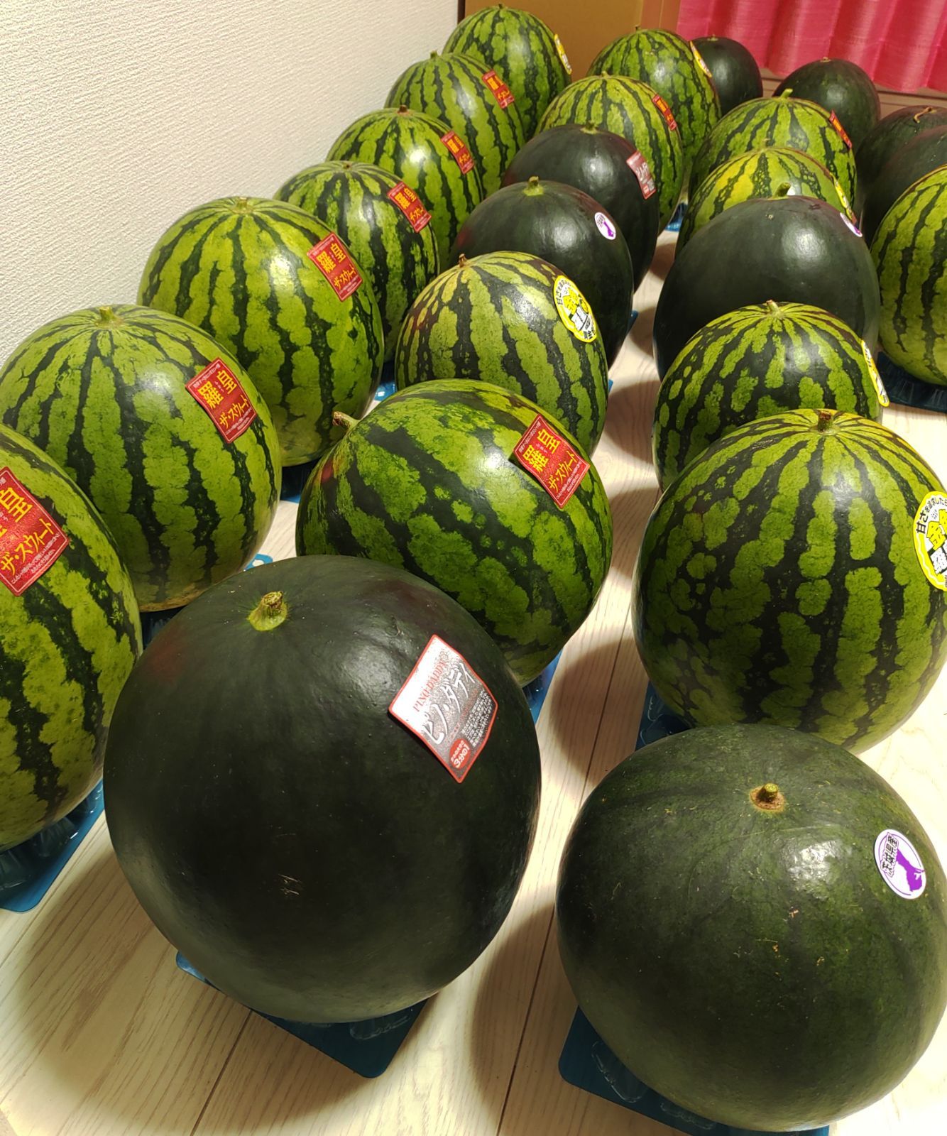 ４・茨城県・保護猫ファミリー・羅皇ザ・スイート 4・茨城県・保護猫ファミリー・羅皇ザ・スイート 羅皇ザ