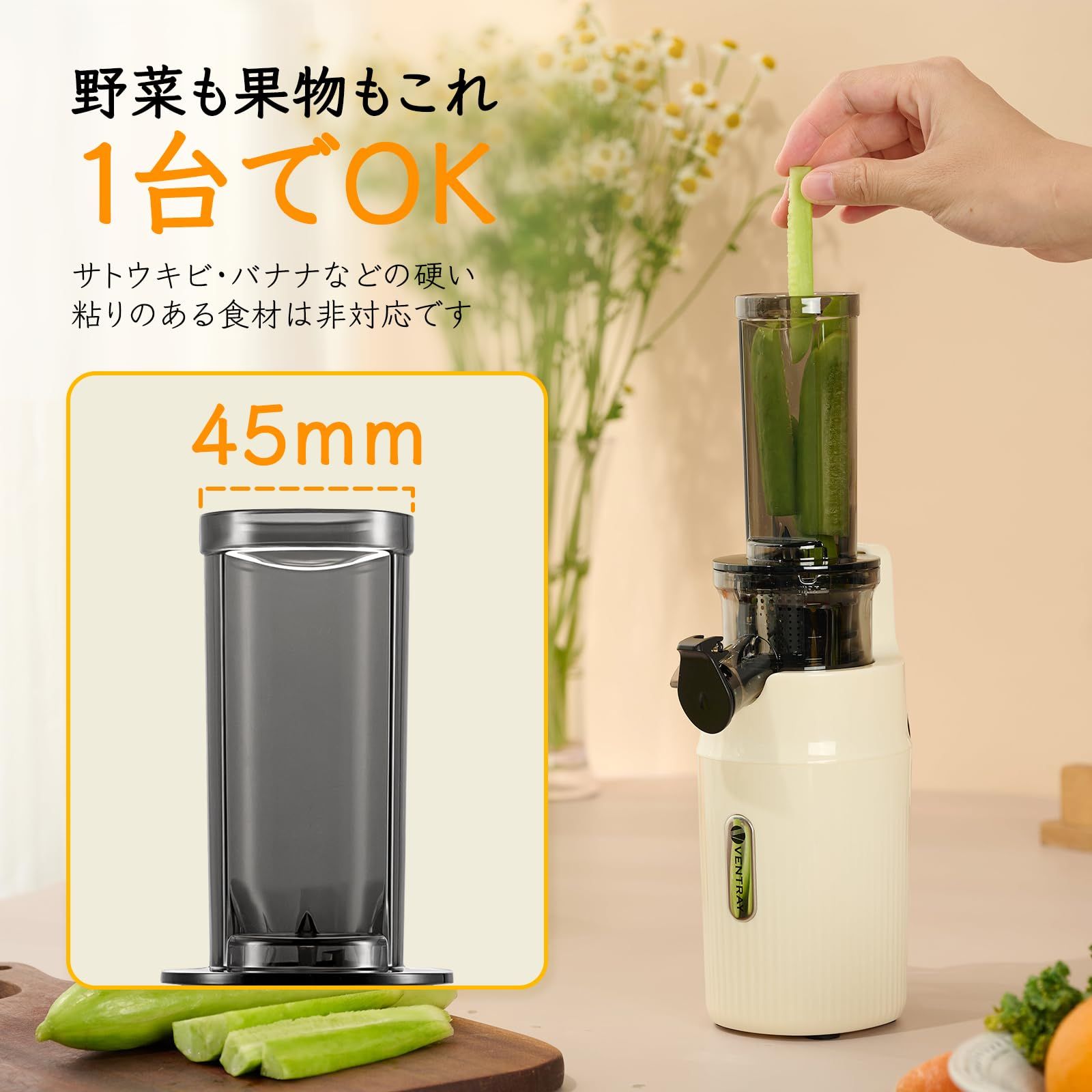 Ventray Ginnie ジューサー スロージューサー 搾りカス分離 低速