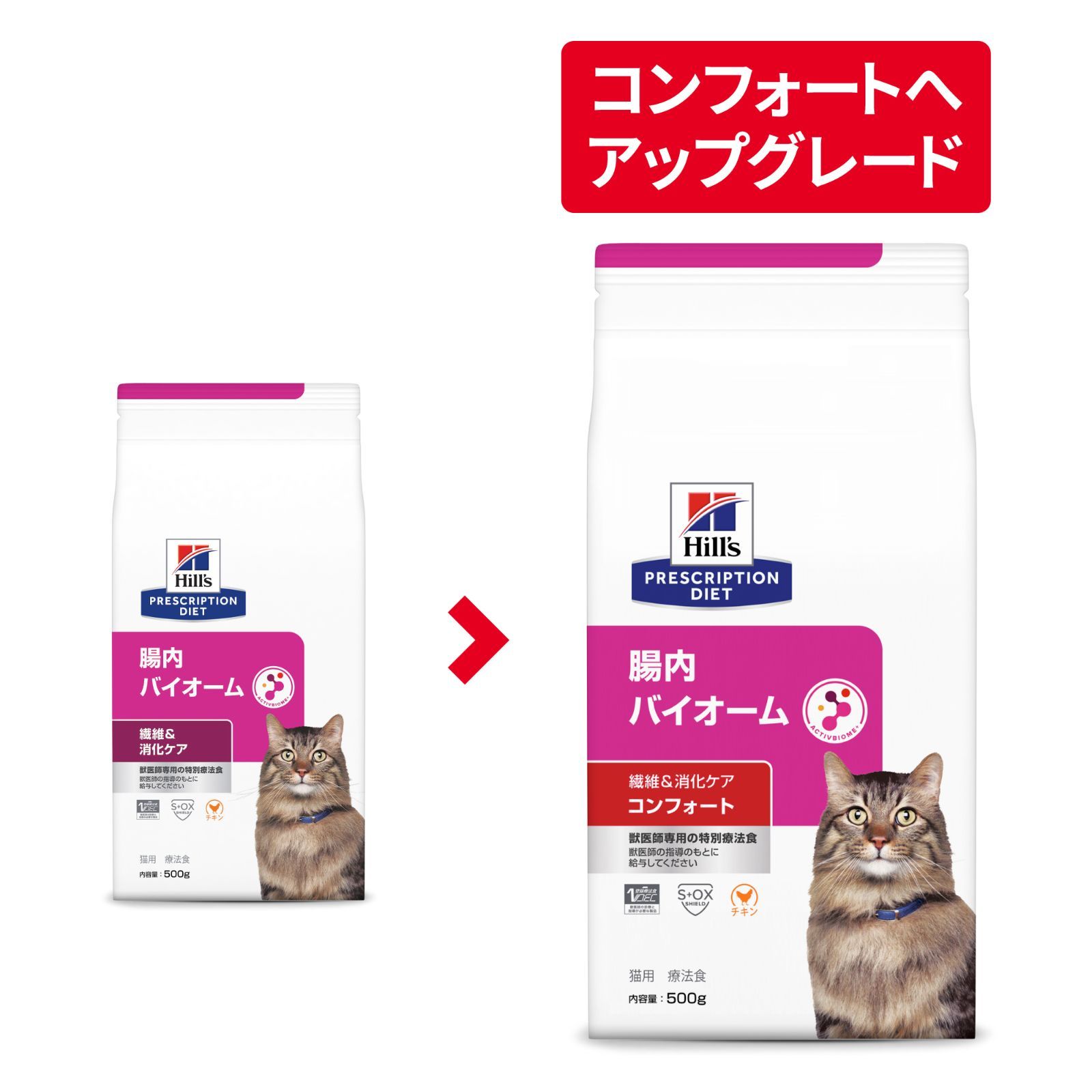 ダイエット 猫