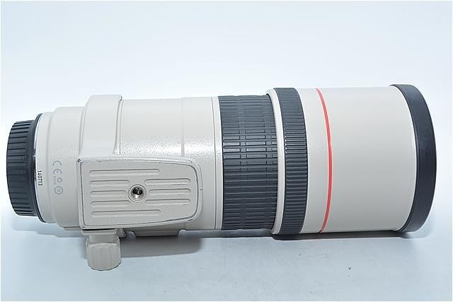 350 Canon 単焦点望遠レンズ EF 300 mm F 4 L IS USM フルサイズ対応 レンズ(単焦点) カメラ