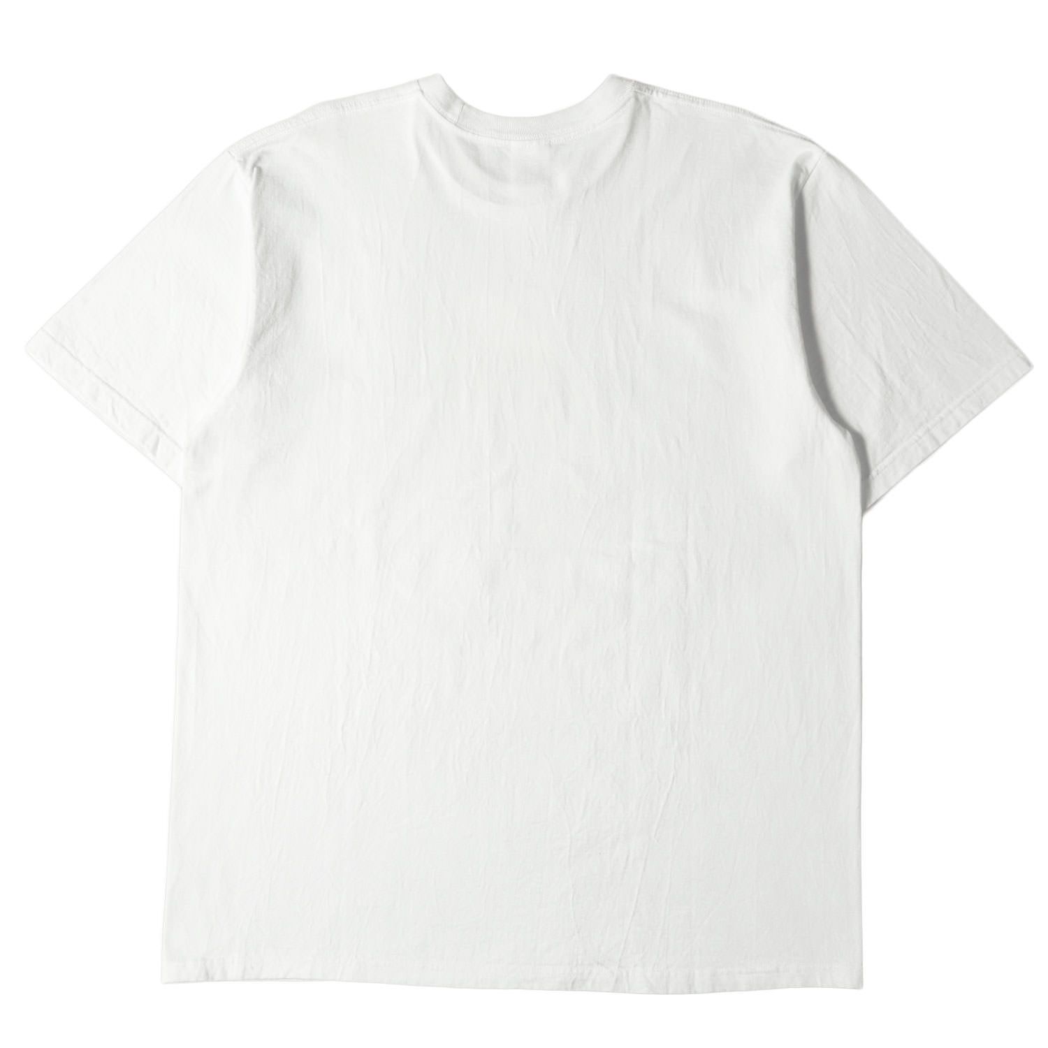 Supreme シュプリーム Tシャツ サイズ:L 20SS リザード グラフィック ...