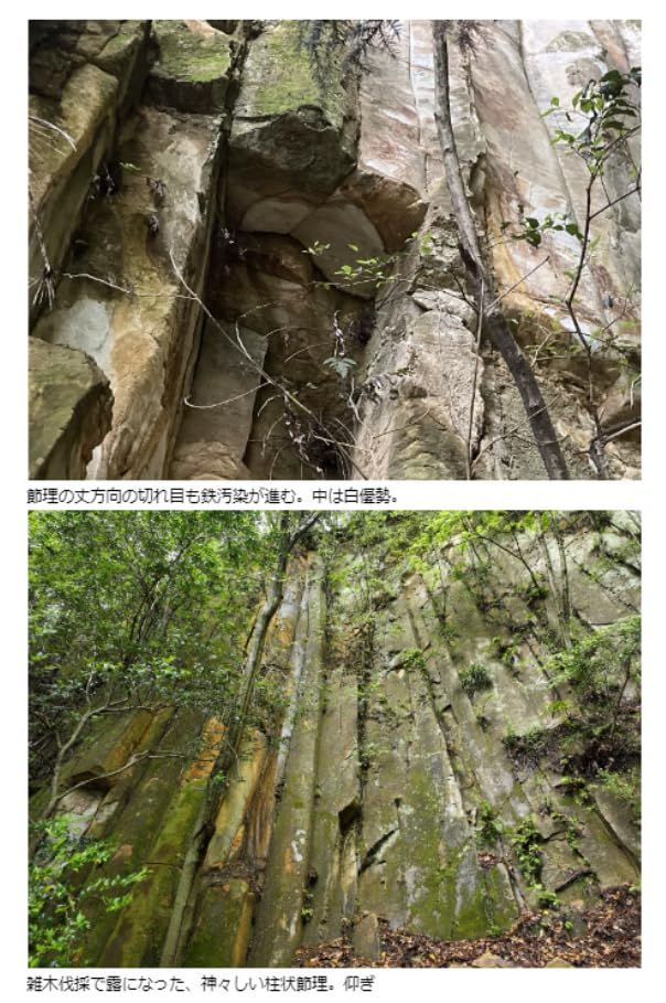 大突