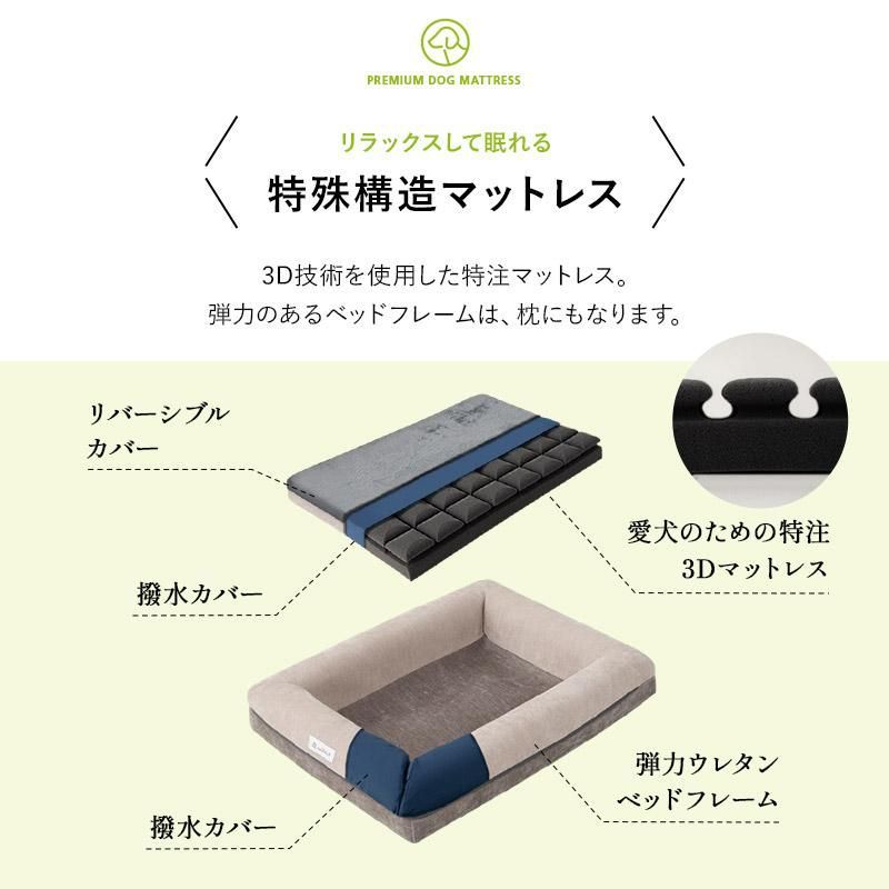 成犬 シニア