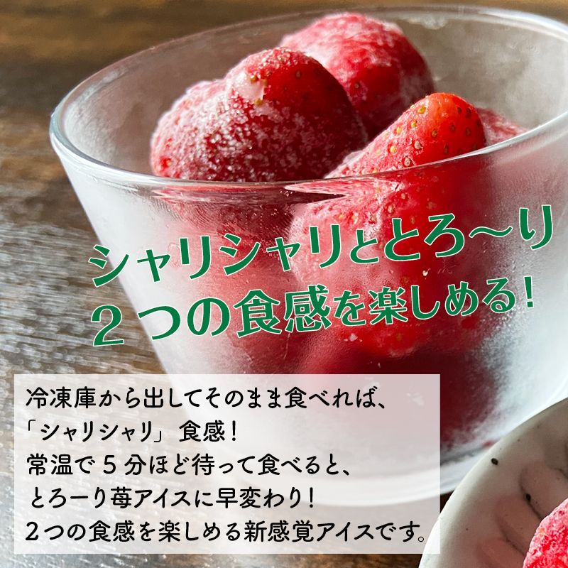 前田家 いちご練乳 アイスクリーム 100粒 かわいい 苺 練乳 ホワイトチョコレート アイス スイーツ 冷凍 洋菓子 春摘み苺アイス 合わせ買い WWW_USTAUSTRALIA_COM_AU