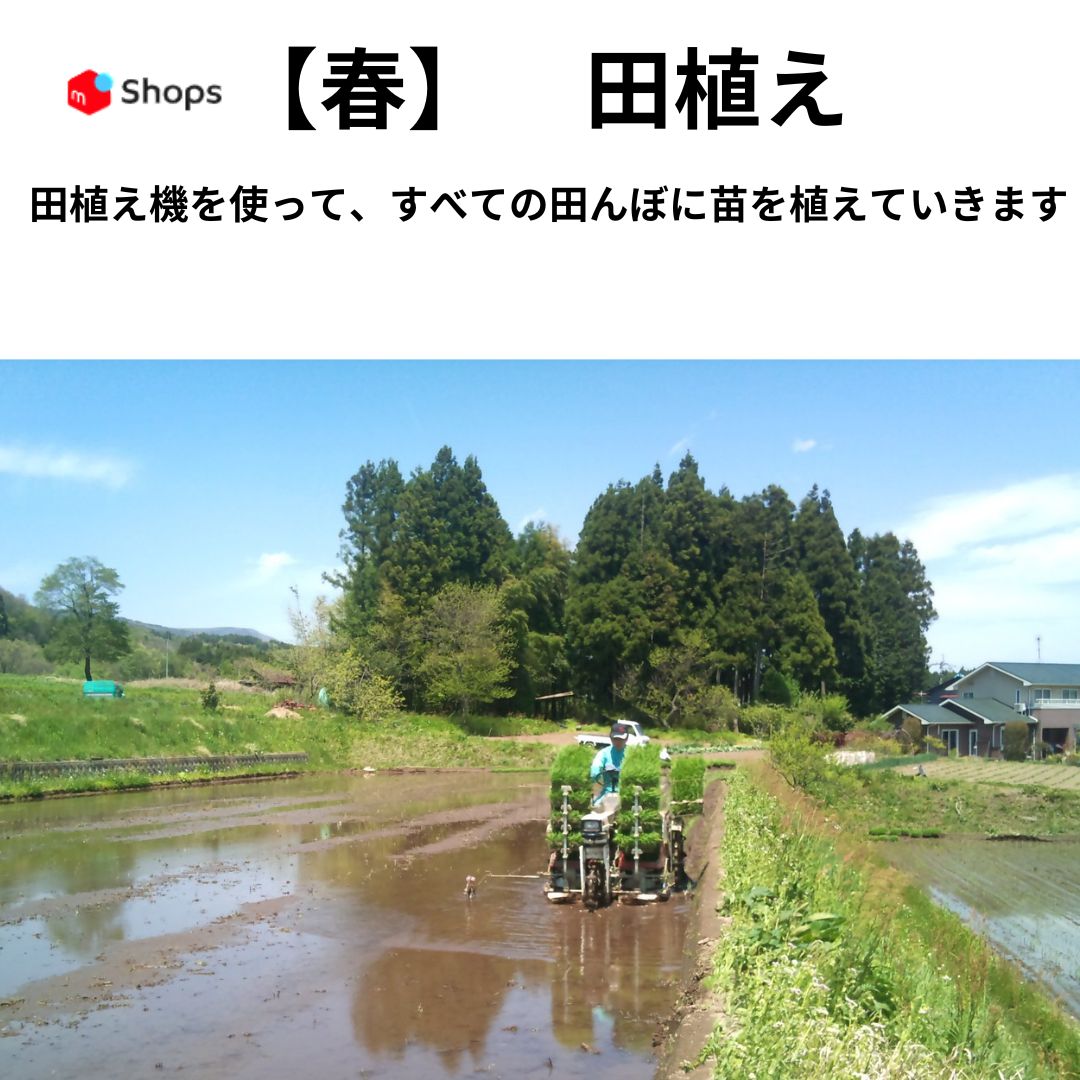 新米 令和7年度 30kg 福島産コシヒカリ 農家直送 - メルカリ
