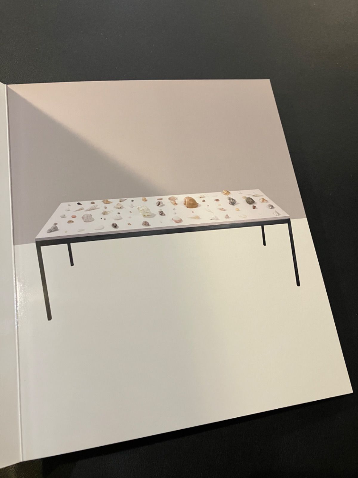 ダミアン・ハースト 図録 作品集 ABC Damien Hirst - メルカリ