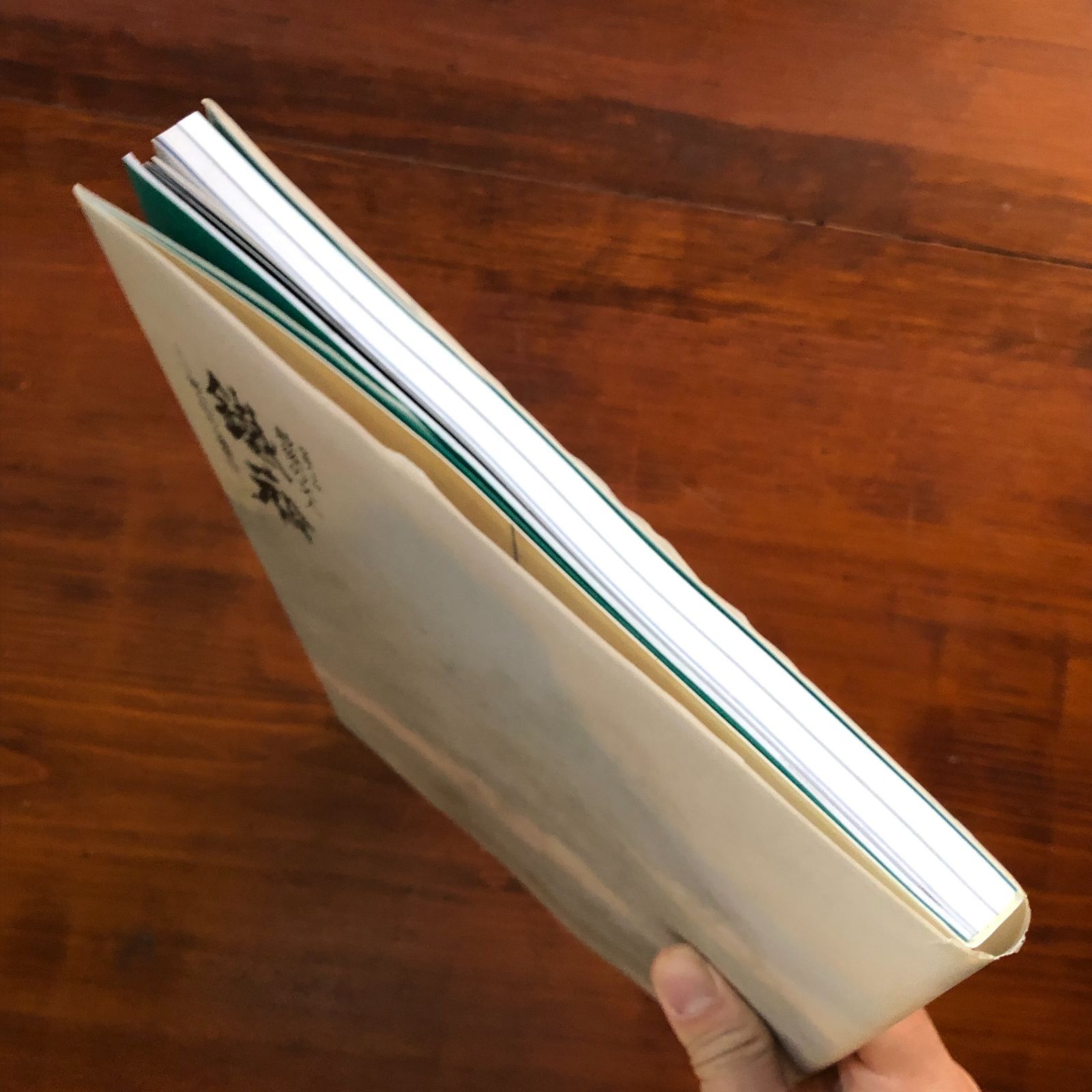 最後の文人鐵斎 : 没後八十年 : 富士山から蓬莱山へ 富岡鉄斎 著