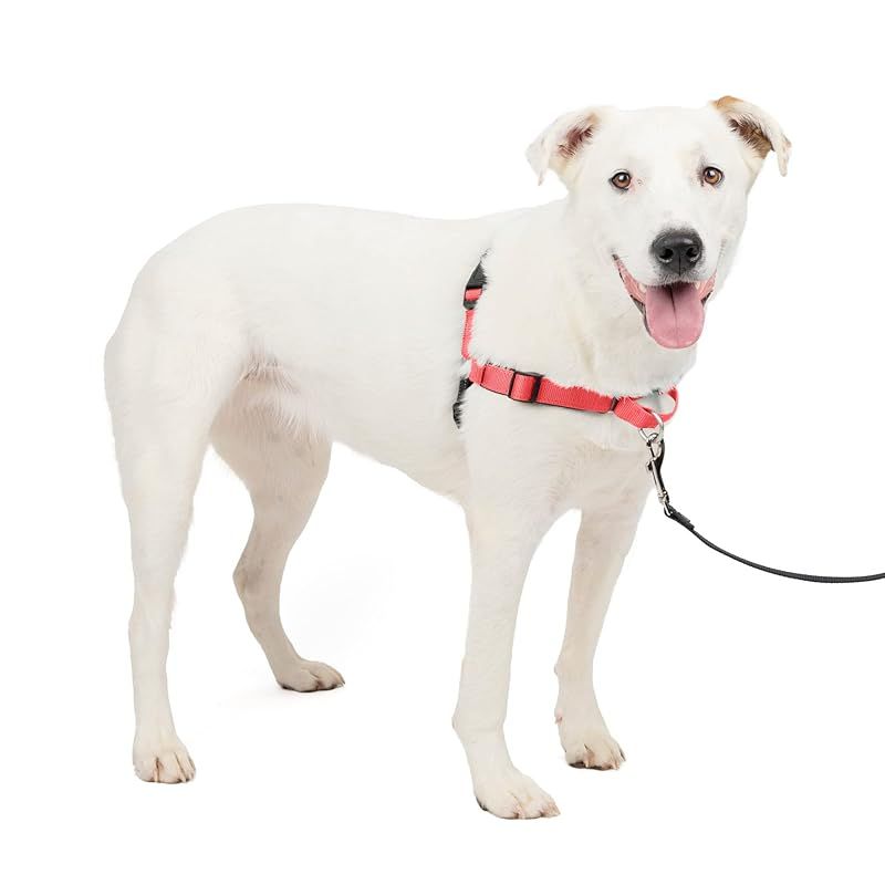 PetSafe ペットセーフ 犬用 ハーネス デラックス イージーウォークハーネス 中型～大型犬 M|L サイズ ローズレッド|ブラック 散歩 トレーニング 引っ張り防止 0