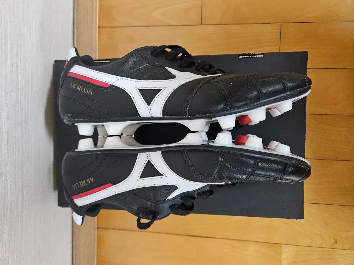 モレリア2ジャパンクロスステッチ モレリア 2 JAPAN AG 25cm モレリア