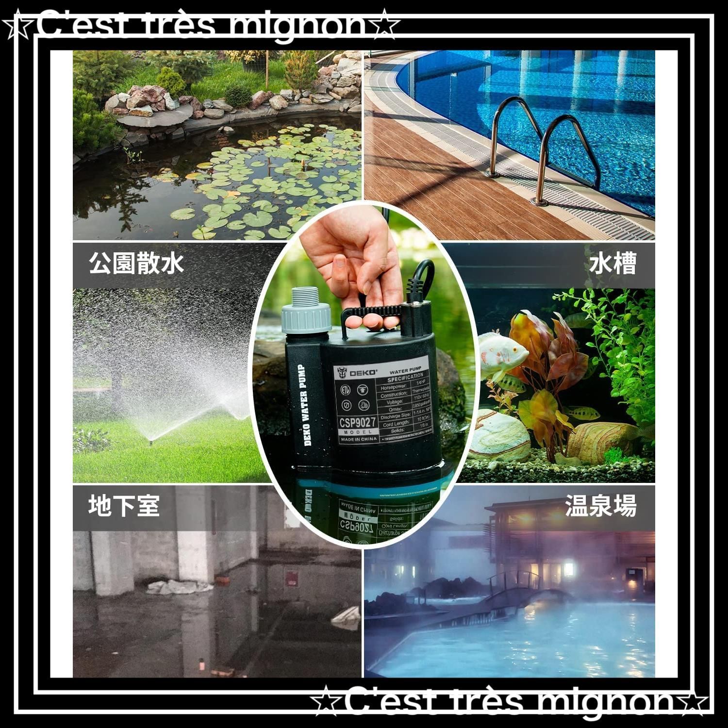 電動ポンプ 50|60Hz共用