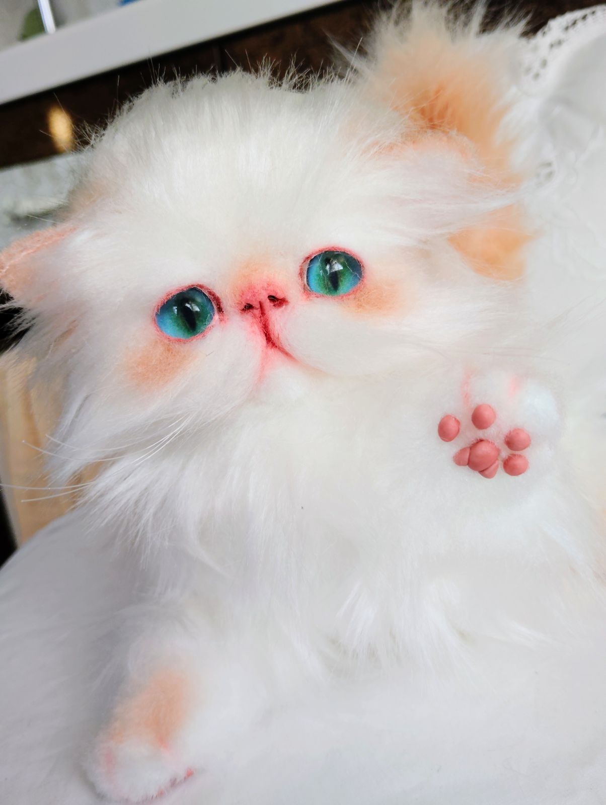 生後6ヶ月♡エキゾチック子猫ちゃん♡アートドール♡ぬいぐるみ