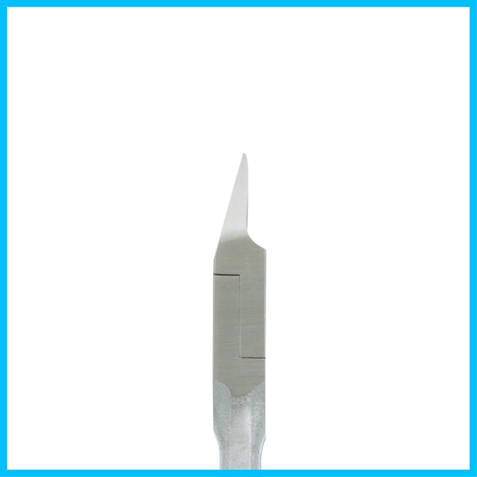 バイオレットピンク NP-1011