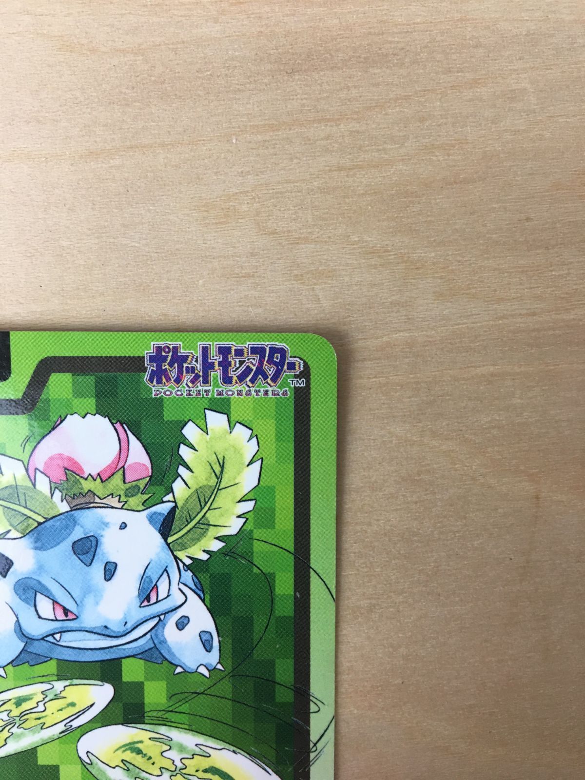フシギダネ フシギソウ ヒトカゲ リザード ゼニガメ カメール