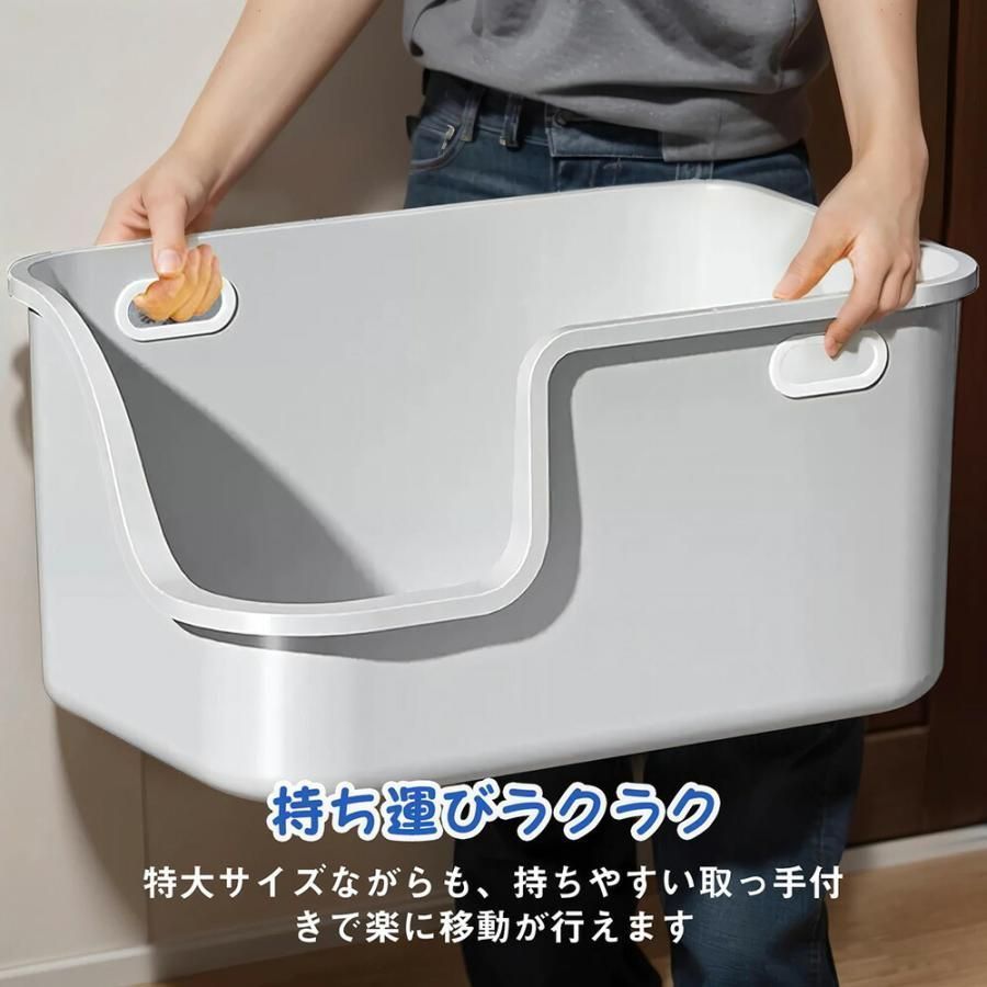 大型