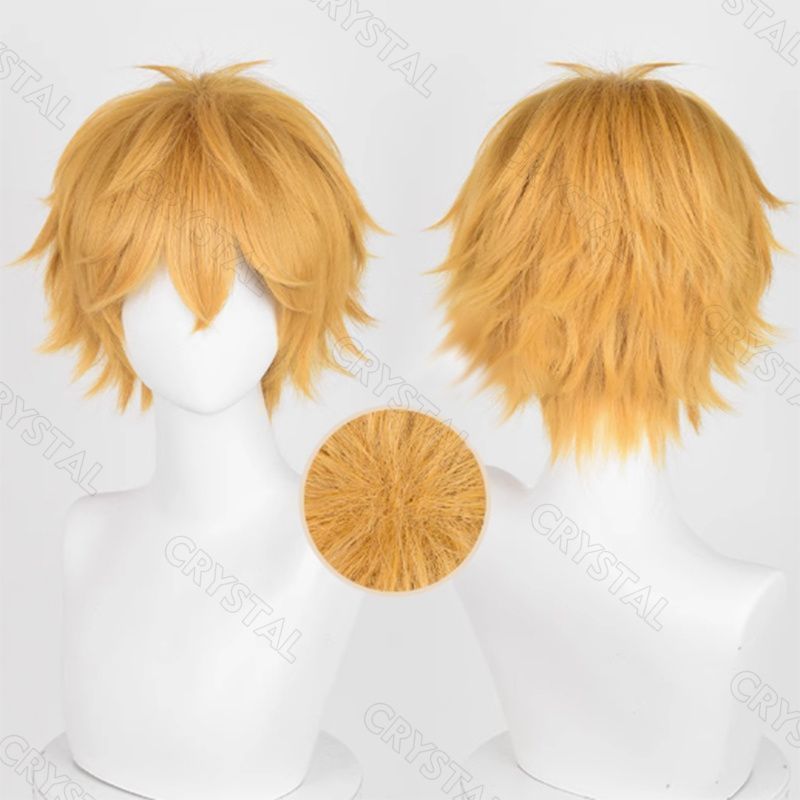 新品未使用WIND BREAKER（ウィンドブレイカー） コスプレ 楡井