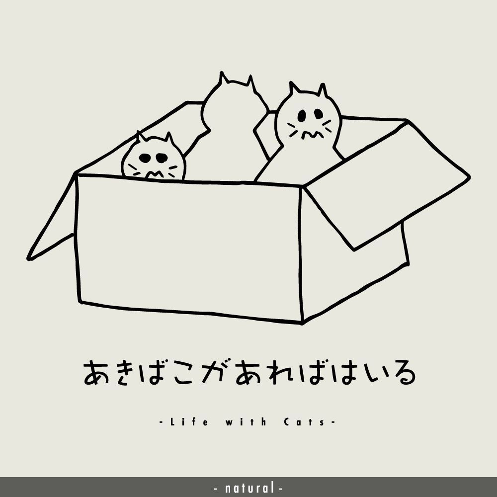猫グラフィックTシャツ　あきばこがあればはいる