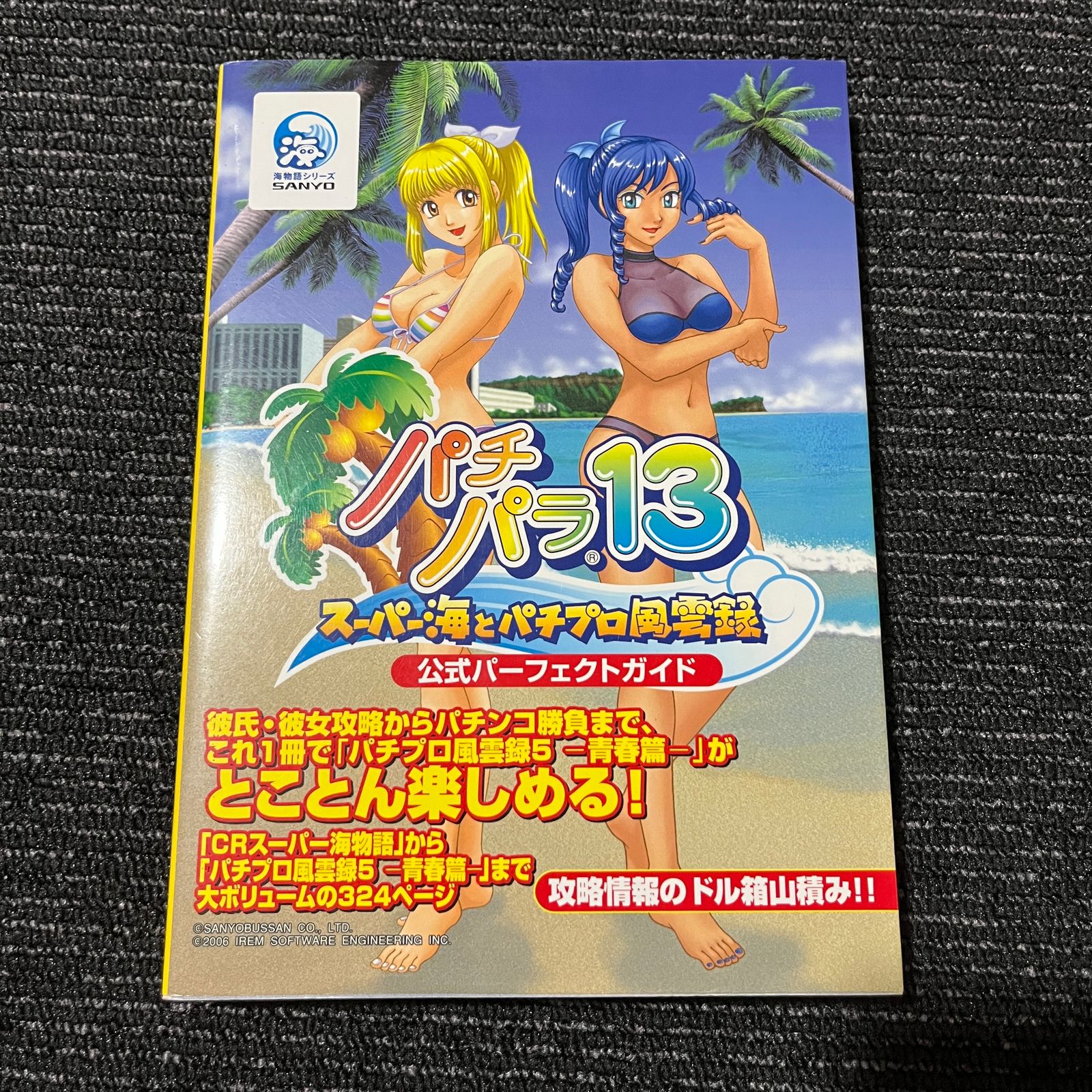 パチパラ13～スーパー海とパチプロ風雲録～公式パーフェクトガイド
