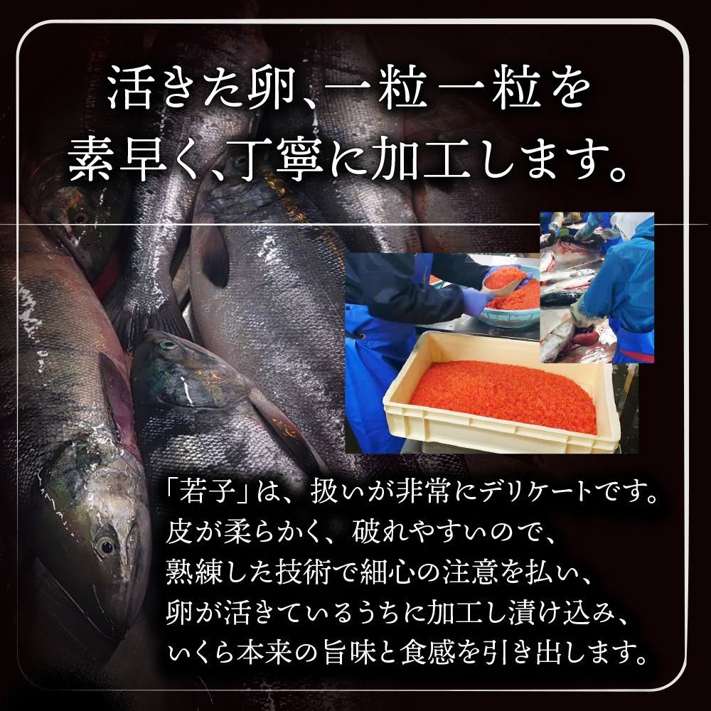 秋鮭若子のいくら醤油漬け100g×4