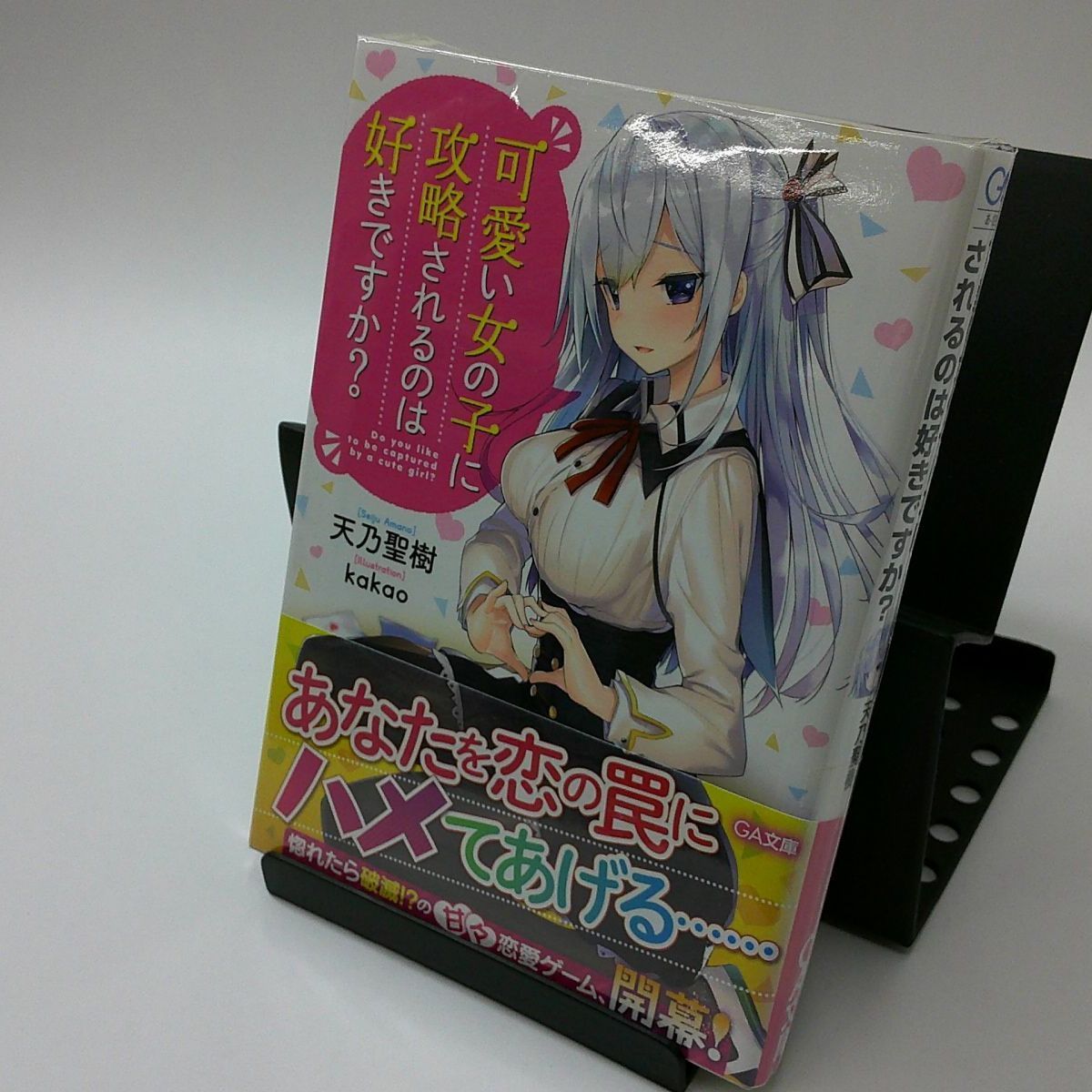 可愛い女の子に攻略されるのは好きですか? - 文学・小説