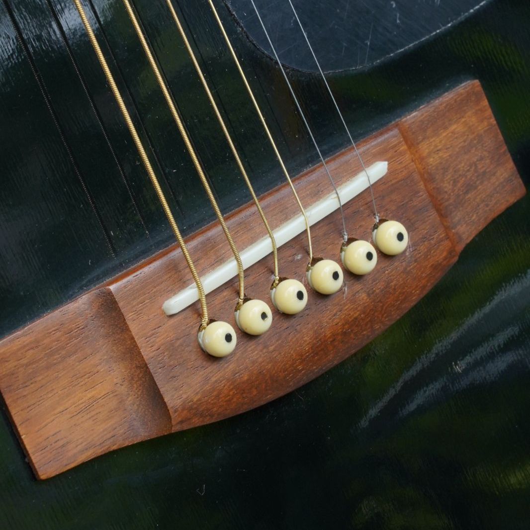 希少ブラックカラー】Takamine T-F1/BK タカミネ アコースティック